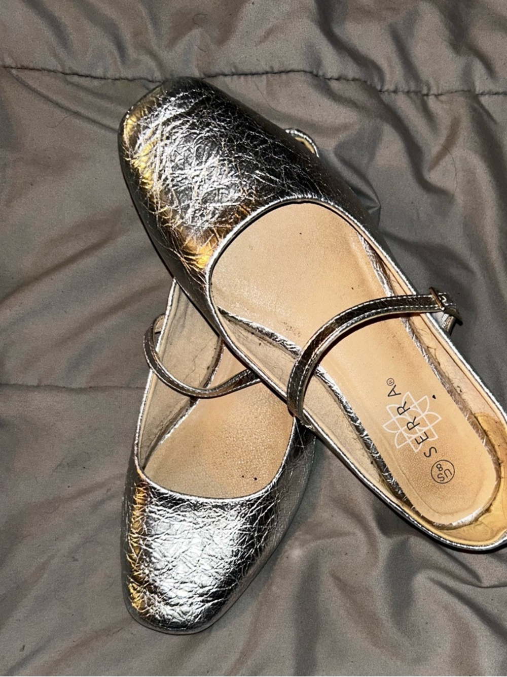 Serra Metallic Silver Mary Jane Flats
